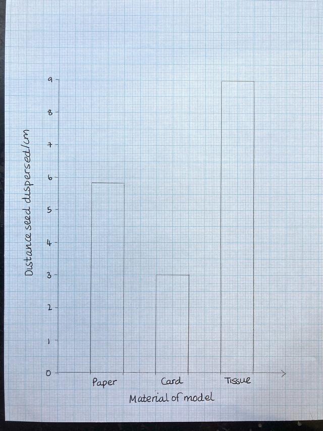What is the dependent variable on this bar chart?
