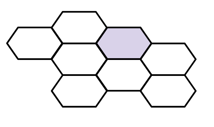 An image in a quiz