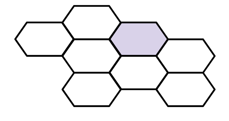 An image in a quiz