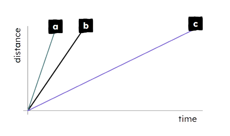 An image in a quiz