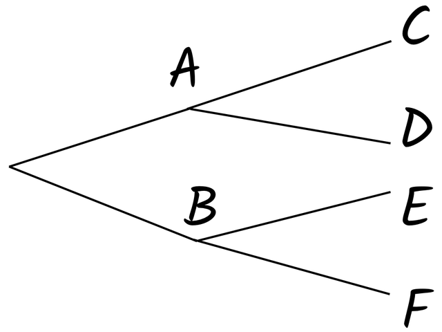 An image in a quiz