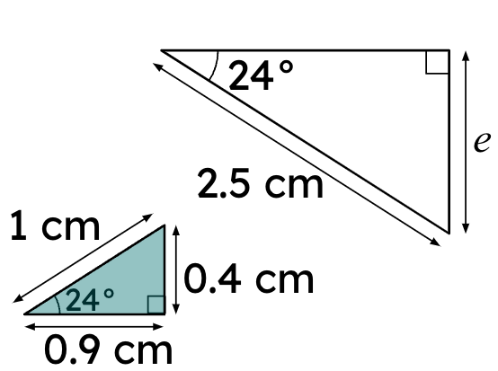 An image in a quiz