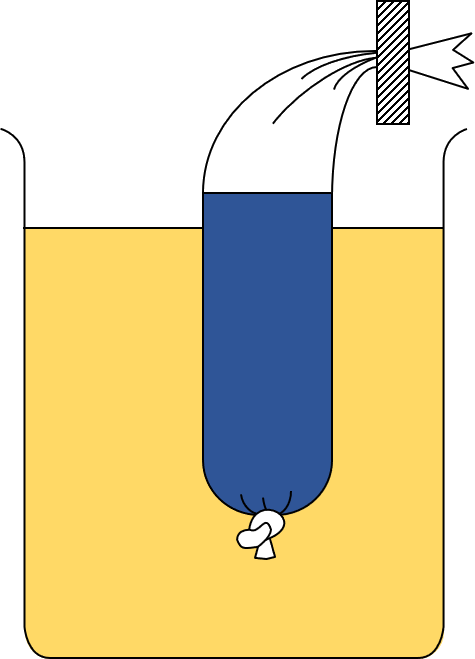 The diagram shows the experiment after 10 minutes. Match each observation to the correct explanation for it.