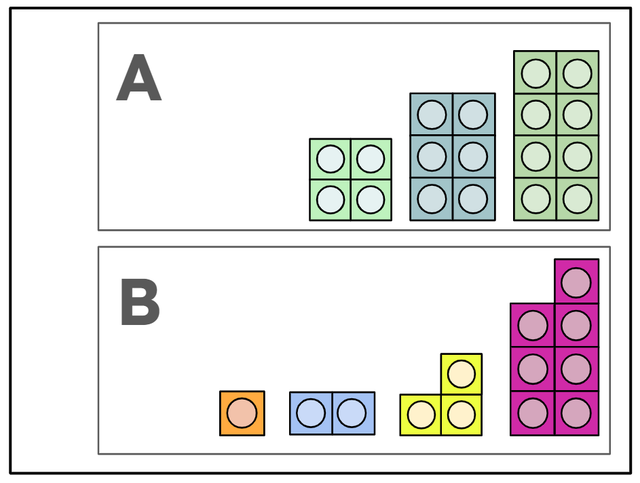 An image in a quiz
