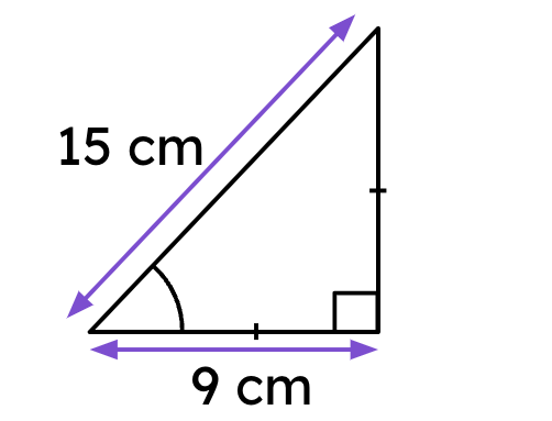 An image in a quiz