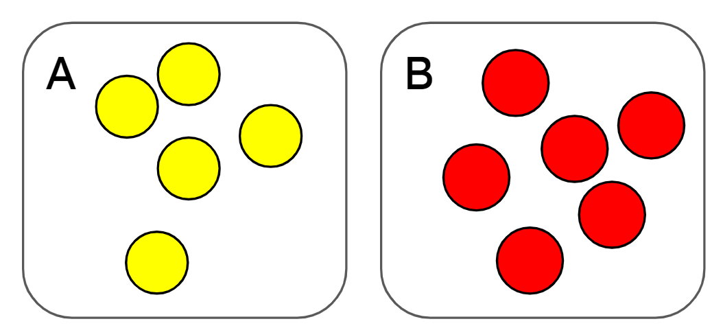 An image in a quiz