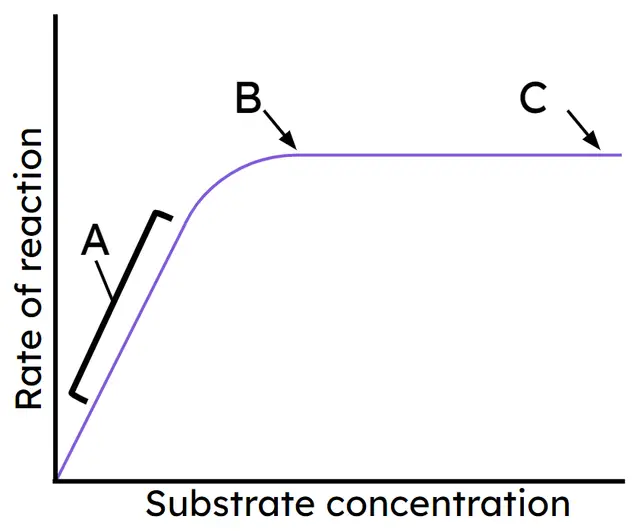 An image in a quiz