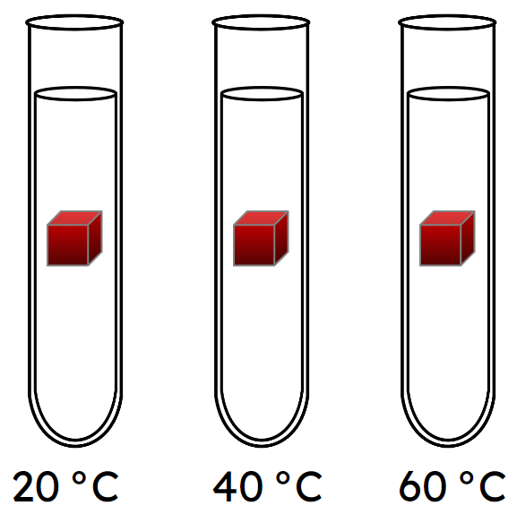 An image in a quiz