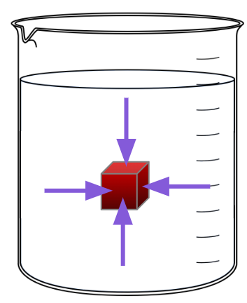 An image in a quiz