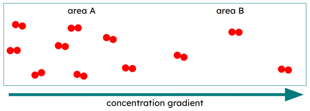 In which direction will there be net movement of particles?