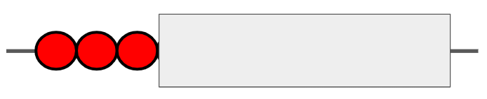 An image in a quiz