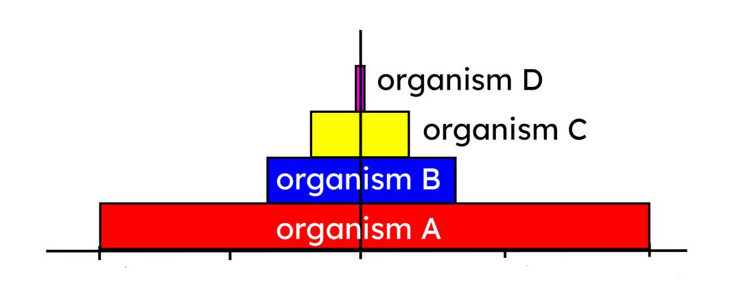 An image in a quiz