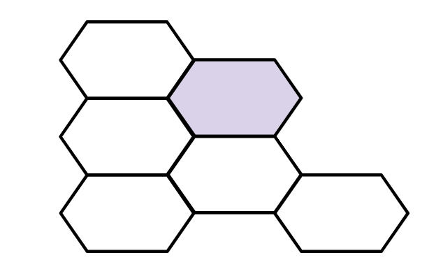 An image in a quiz