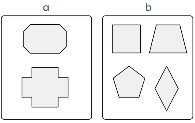 An image in a quiz