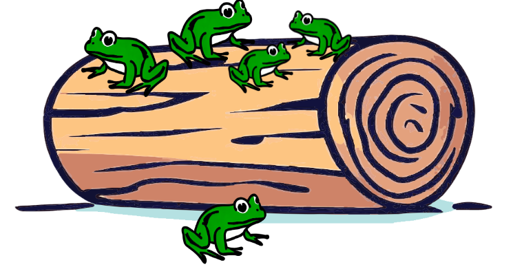 An image in a quiz