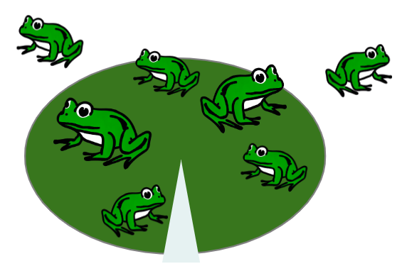 An image in a quiz