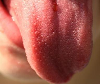 tongue