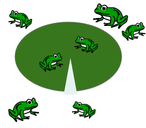 An image in a quiz