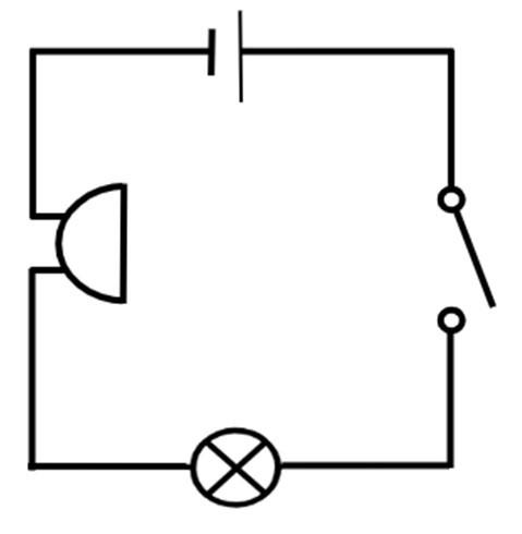 An image in a quiz