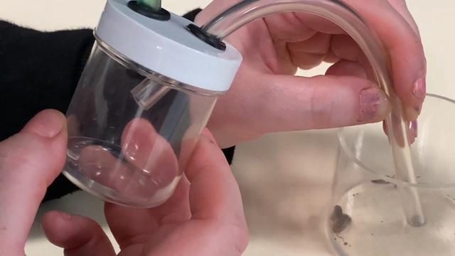 Which two of the following organisms might be sampled using this sampling technique?
