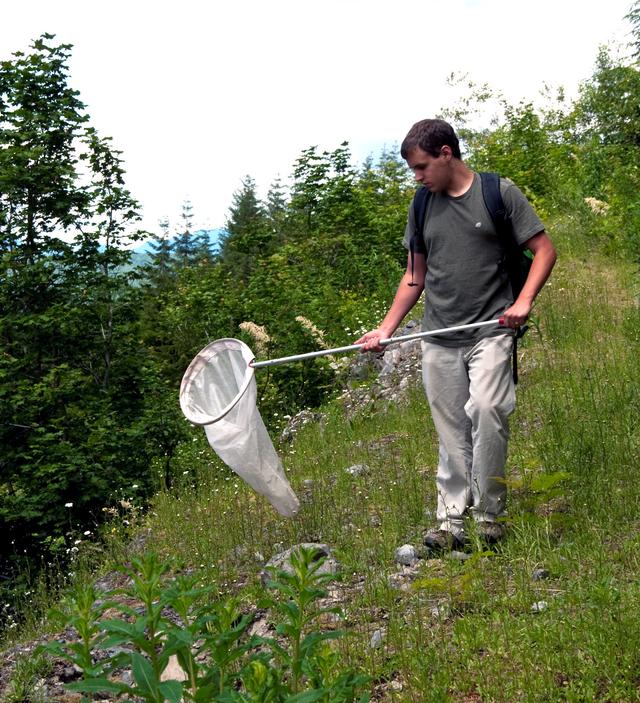 What might this net be used to sample?