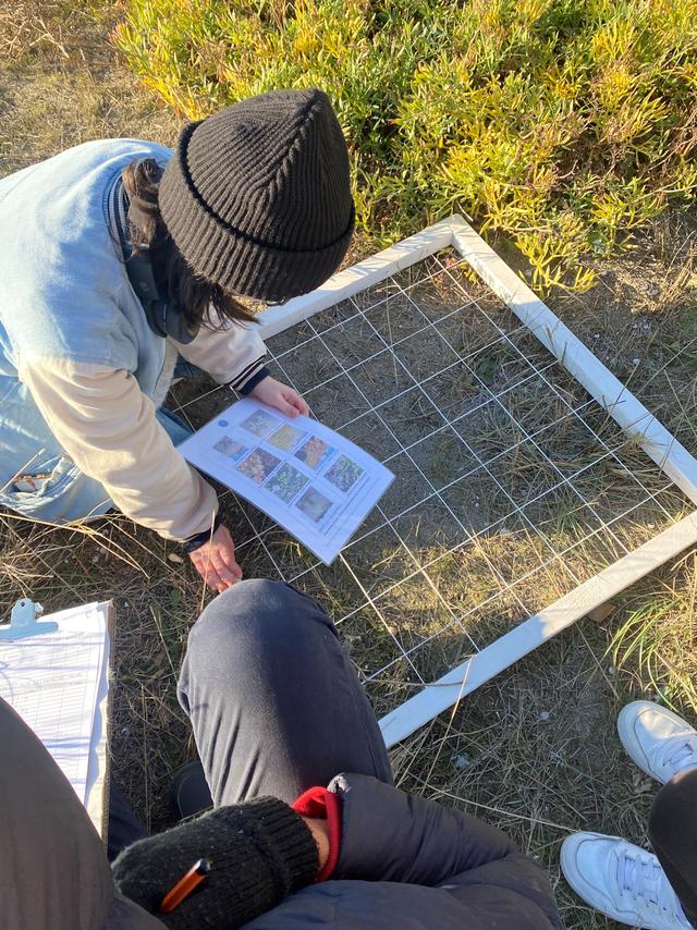 Which of the following organisms could be sampled using this piece of sampling equipment?