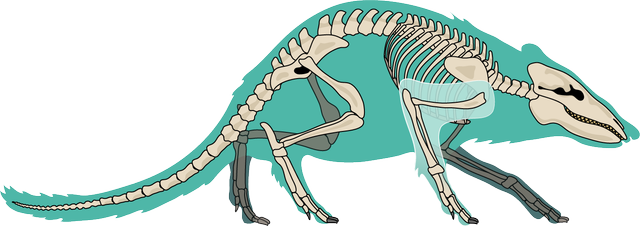 Indohyus