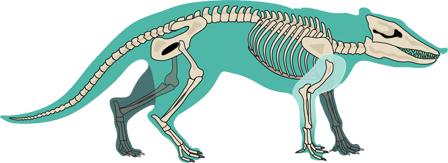 Pakicetus
