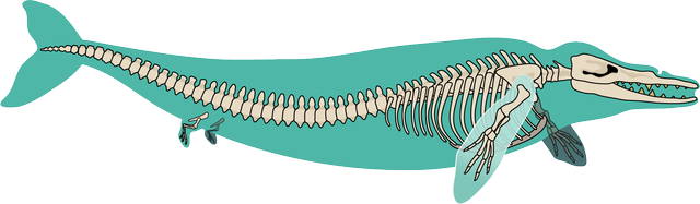 Dorudon