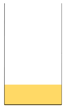 An image in a quiz