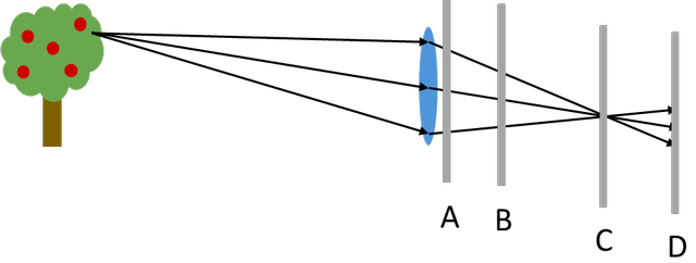 A student wants to use a lens to create an image on a screen. 
At which position should the student place the screen to see a sharp image?