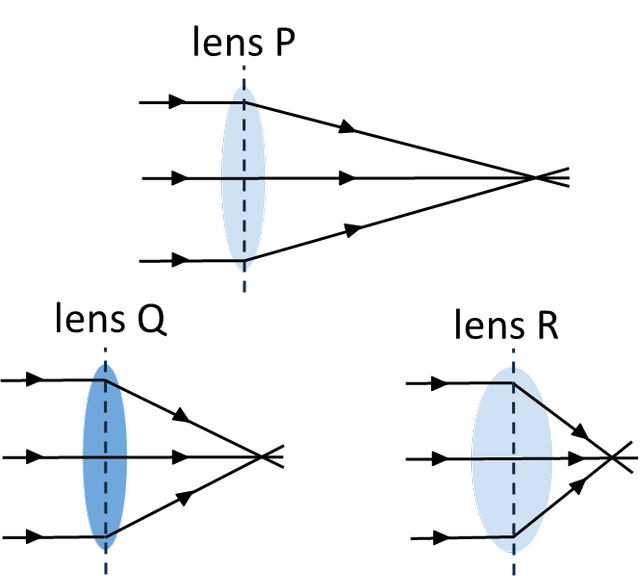 An image in a quiz