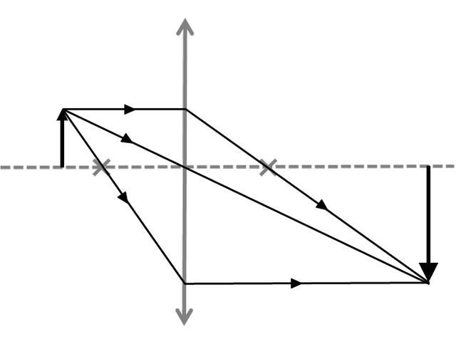 An image in a quiz