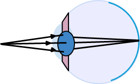 An image in a quiz
