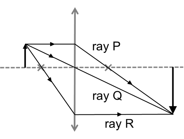 An image in a quiz