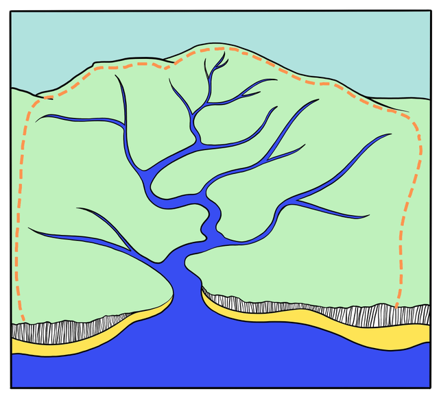 An image in a quiz