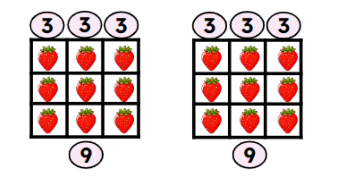 An image in a quiz