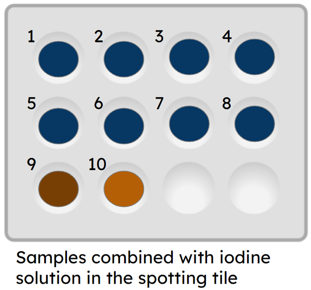 An image in a quiz