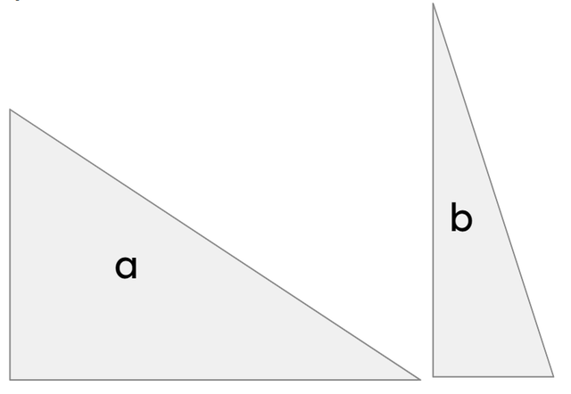 An image in a quiz
