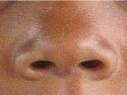 Which sense do humans use their nose for?