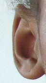 ears