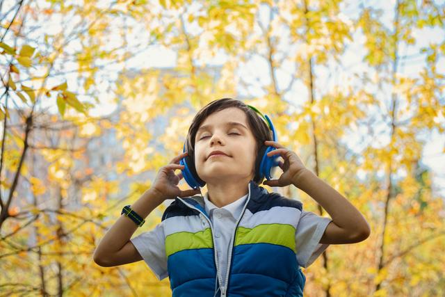 Levels of noise in an environment that are unwanted or harmful are classified as noise ...