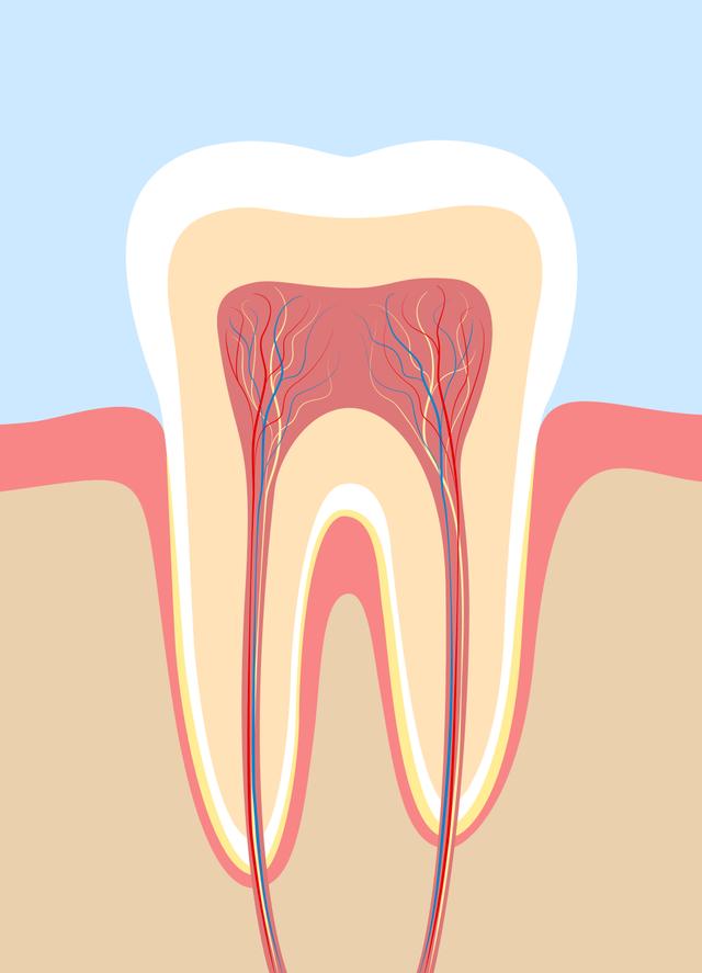 What is the surface of the tooth called that can be damaged by the sugary food we eat?