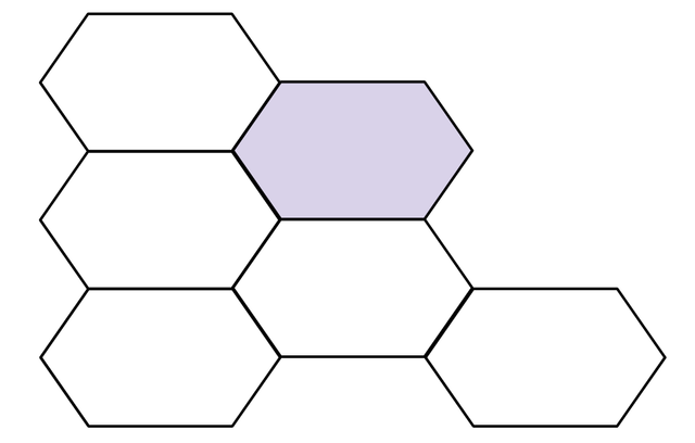 An image in a quiz