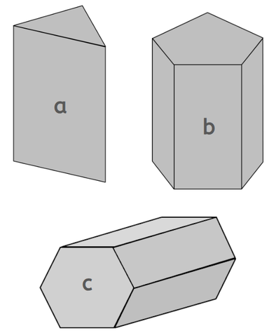 An image in a quiz