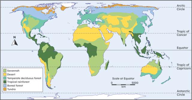 Which continent does not contain any temperate deciduous forest?