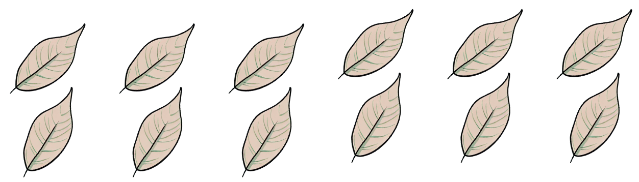 An image in a quiz