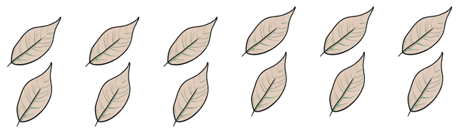 Aisha used the strategy of counting leaves in twos. How many leaves altogether?