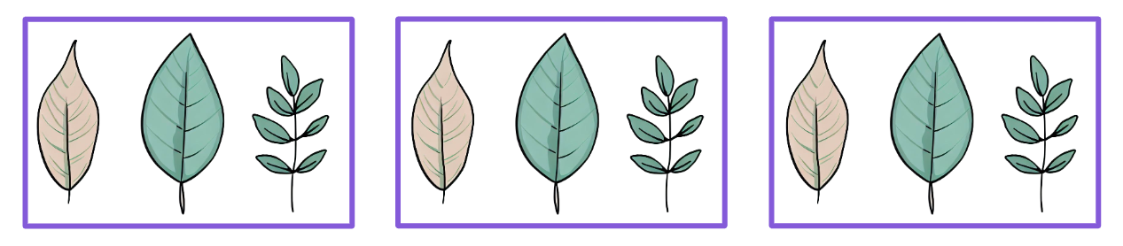 An image in a quiz