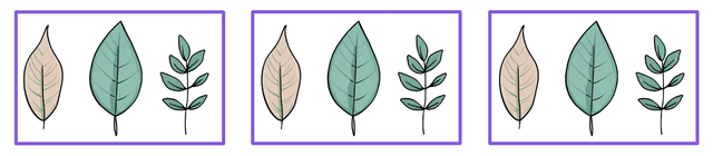 Which is the correct expression for the groups of leaves shown here?